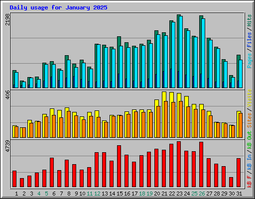 Daily usage for January 2025