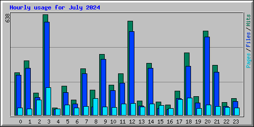 Hourly usage for July 2024