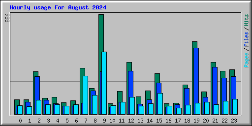 Hourly usage for August 2024