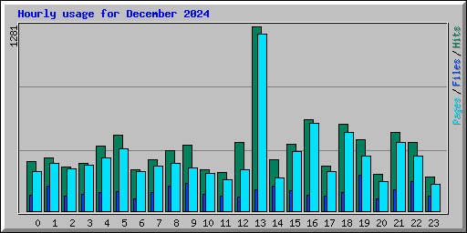 Hourly usage for December 2024