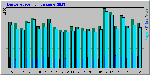 Hourly usage for January 2025