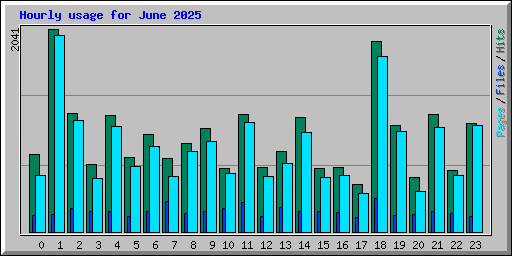 Hourly usage for June 2025