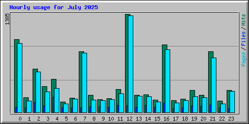 Hourly usage for July 2025