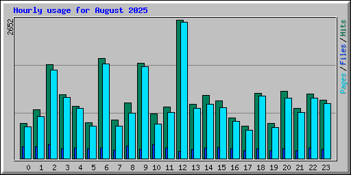 Hourly usage for August 2025
