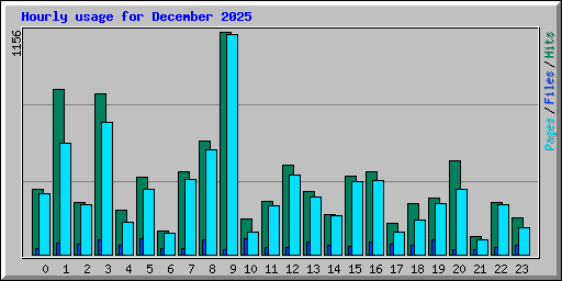 Hourly usage for December 2025