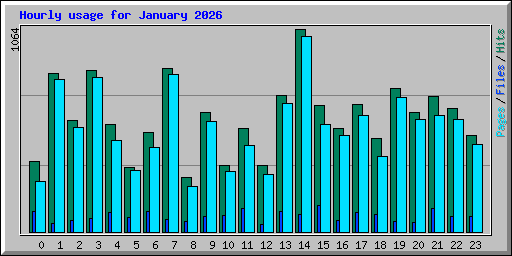 Hourly usage for January 2026