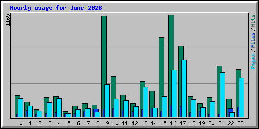 Hourly usage for June 2026