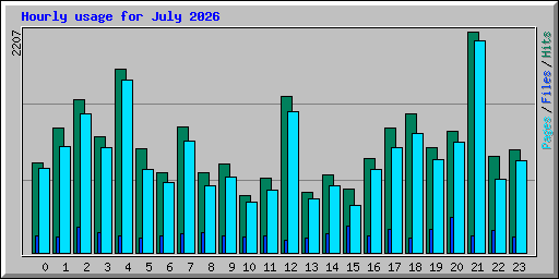 Hourly usage for July 2026