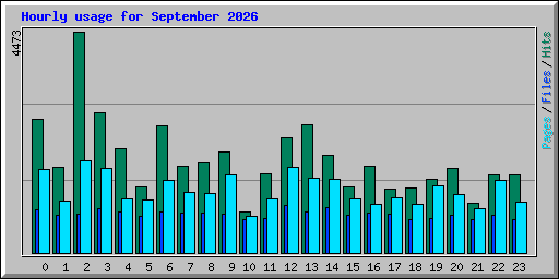Hourly usage for September 2026