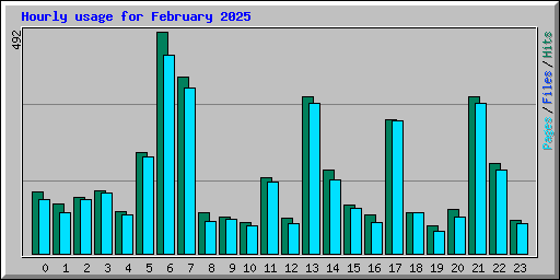 Hourly usage for February 2025