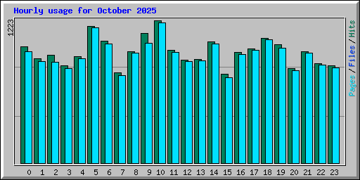 Hourly usage for October 2025