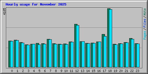 Hourly usage for November 2025
