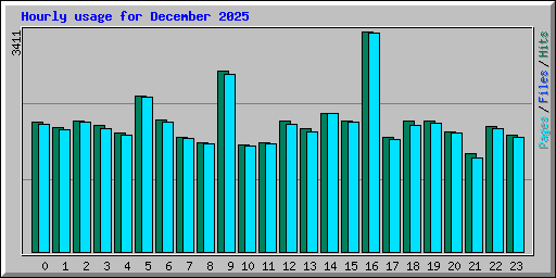 Hourly usage for December 2025