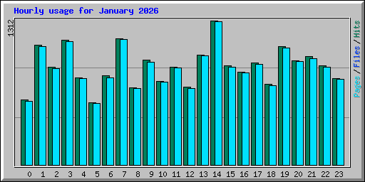 Hourly usage for January 2026